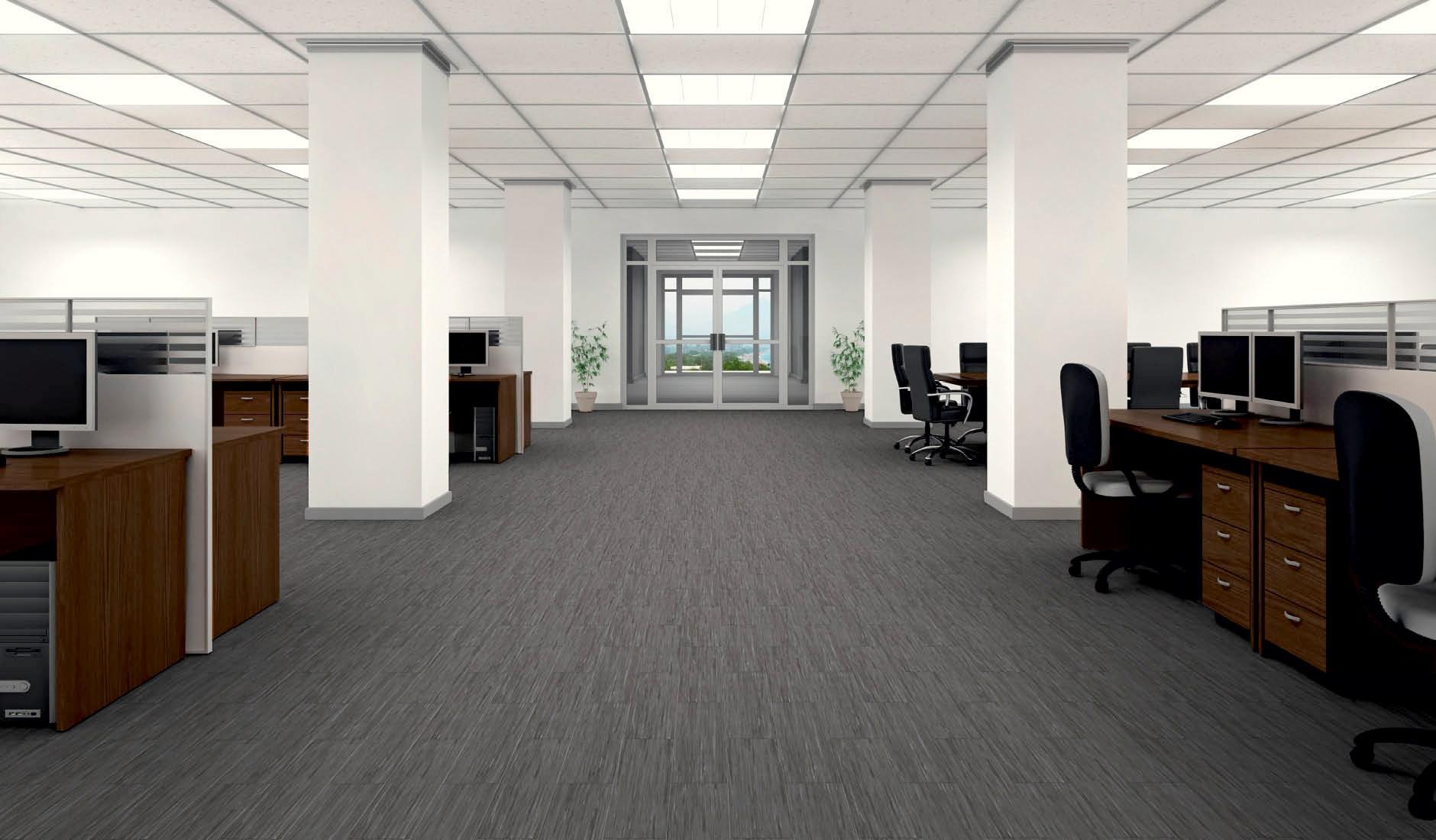 Office Carpet Solutions